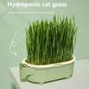 Biologische Kattengras Kweekset Verlichting bij Haarballen Natuurlijke Spijsverteringshulp Kweek Je Eigen Kattengras Schaal Set Exclusief Zaad
