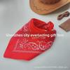 Cowboy Toy Set: Hat, Scarf, Revolver & Leather Holster 