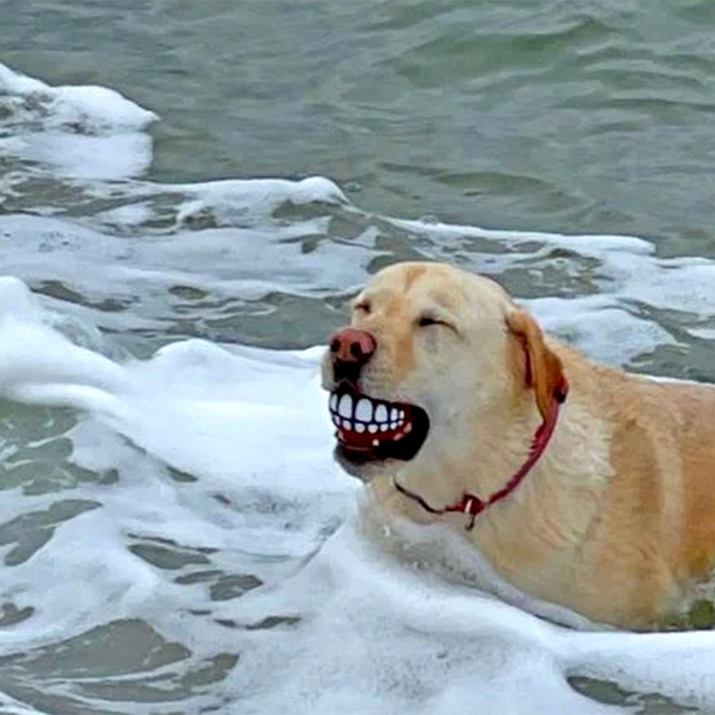 Vinyl Ball With Teeth Dog Toy Colorful Funny Squeaky Sound Dog Puppy Play Toys For Indoor Outdoor