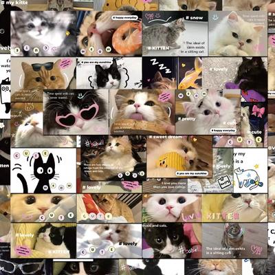62ks Sladký americký štýl Mačka Scrapbook Denník Nálepka Roztomilý Kreslený Mačiatko Školské potreby Nálepka DIY Dekor Cestovná batožina Notebook Nálepka