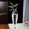 Zen Transparent Glass Vase for Hydroponic Plants and Small Mouth Flower Arrangements