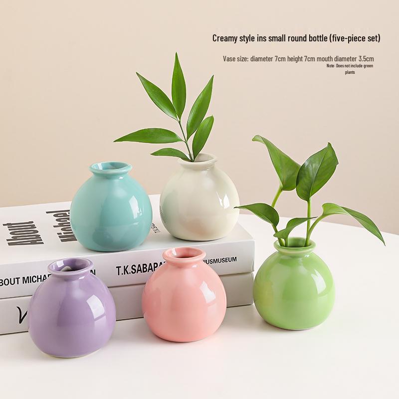 Small Ceramic Desktop Hydroponic Vase for Pothos - Simple Decorative Ornament for Office