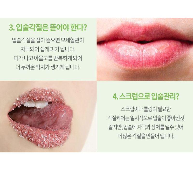 CARE:NEL - Lime Lip Night Mask Set