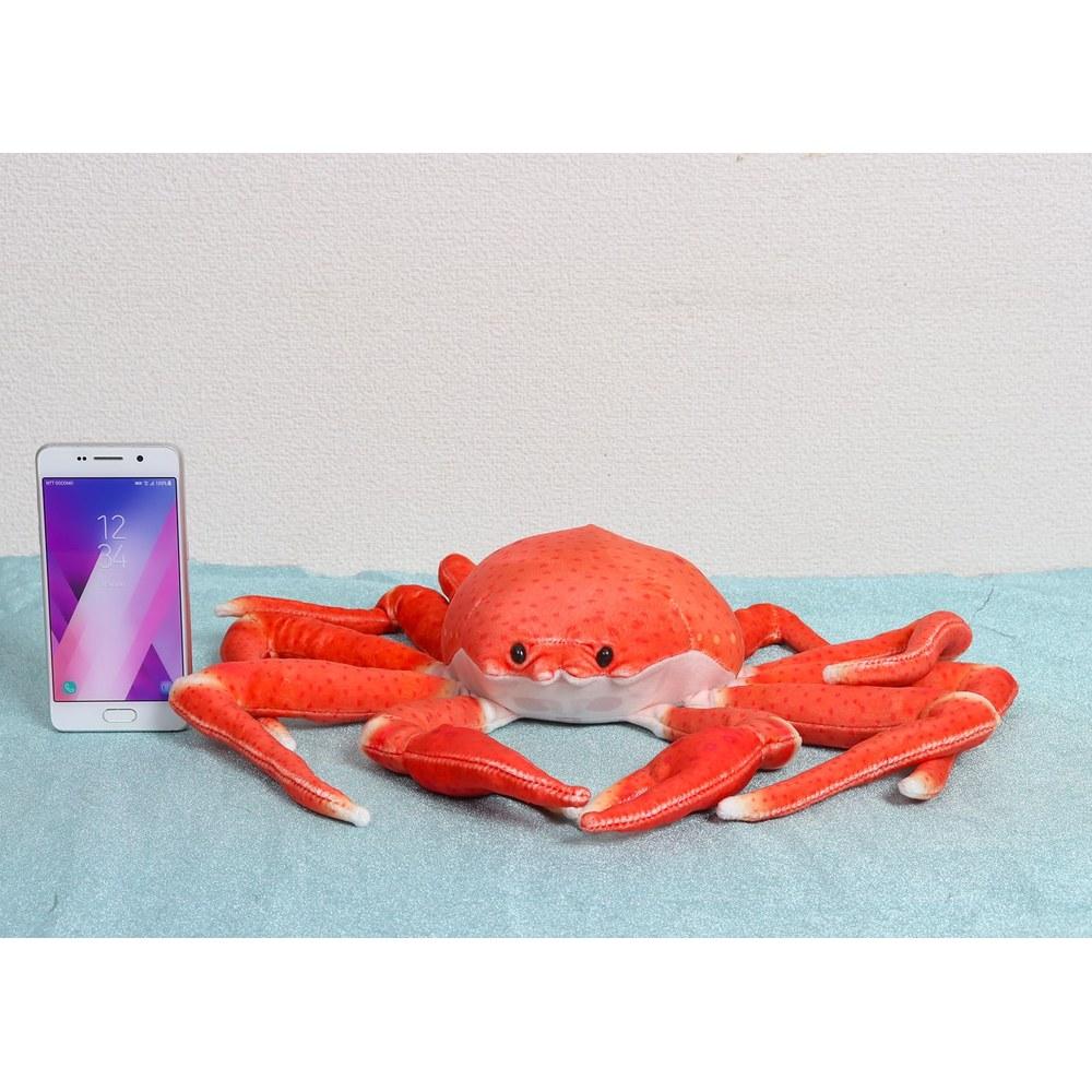 Take-Off Off the Hook Plush Sea Fish and Crab Toy