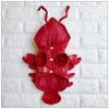 Pet Clothes Halloween Lobster Transformation Cats and Dogs Costumes Teddy Corgi Autumn and Winter New Dog Costumes Wholesale