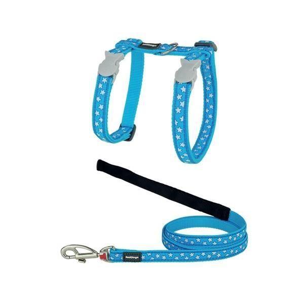 Ensemble Harnais Et Laisse - Red Dingo - Chat - Bleu Avec Étoiles Blanches - Tour De Cou 21-35 Cm - Laisse 1,2 M