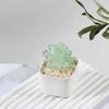 Glazed Succulents Potted Plants Artificial Succulents Mini Maintenance-Free