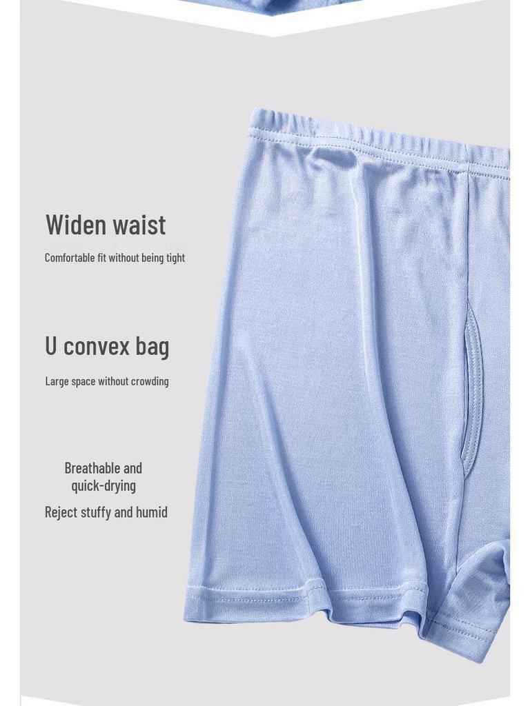 Luxuriöse Seide Herren Übergröße Nahtlose Boxer Briefs - Atmungsaktive Maulbeerseiden-Shorts