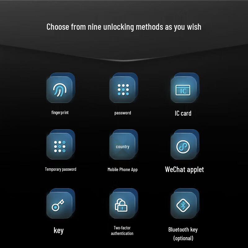 DESMAN Q3E Fully Automatic Smart Door Lock