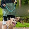 A Multi-purpose P-chain Dog Collar for Pets with Anti-breakaway Leash for Walking Dogs