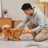 Carrot Dog Toy Cute Squeaky Plush Toys Funny Interactive Pet Carrot Shape Toys with Sound Comfort Soft Pet Supplies for Small Medium Large Dogs