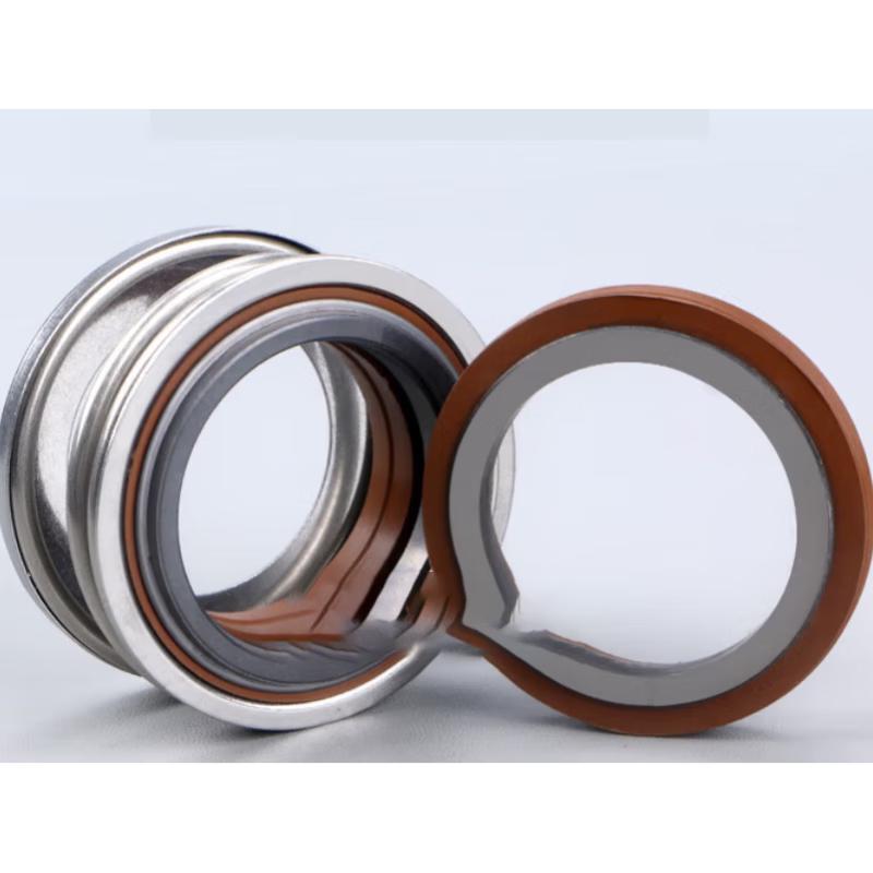 Rongyu Mechanical Seal