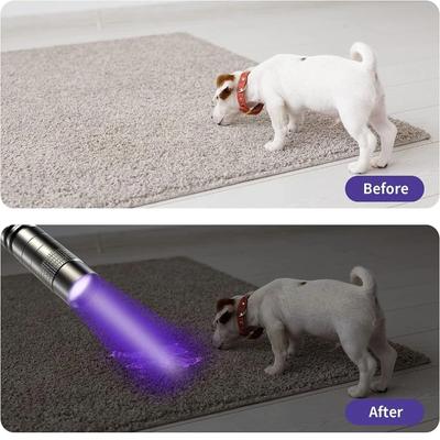 UV Flashlight 395nm Ultraviolet Torch With Pen Clip Portable AAA Batteries Used Violet Light Pet Urine Scorpion Detector UV Lamp
