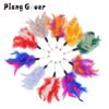 5pcs Random Mix Feather Cat Toy Replacement Accessories Bright Color Funny Cat Stick Teaser Pet Toy