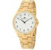 Часы TIMEMASTER 247/02