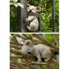 Statua Koala Creativa in Resina per Esterno Prato Giardino Animale Statuetta per Giardino delle Fate Paesaggio in Miniatura Ornamento Cortile Posteriore Scrivania