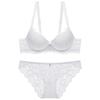 French Sexy Lace Bra Set,Push‑Up Bra Set for Small Bust,Gather Side Fat Lingerie Set
