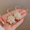 Elegant Shell & Zircon Flower Ear Hooks: Long Luxury Slimming Earrings for Women, Unique Design