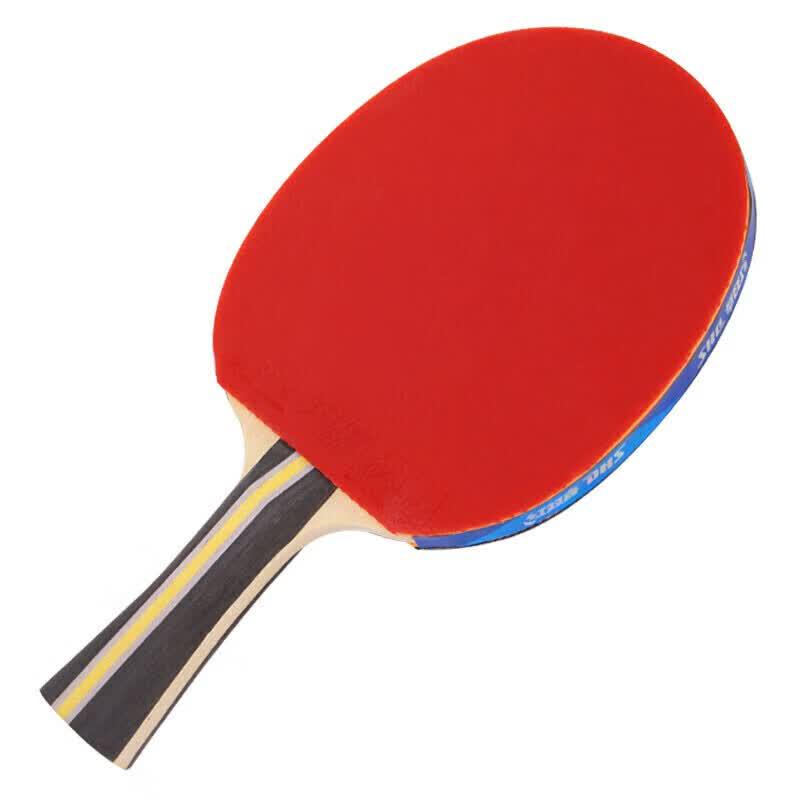 DHS F3000 3-Star Table Tennis Racket