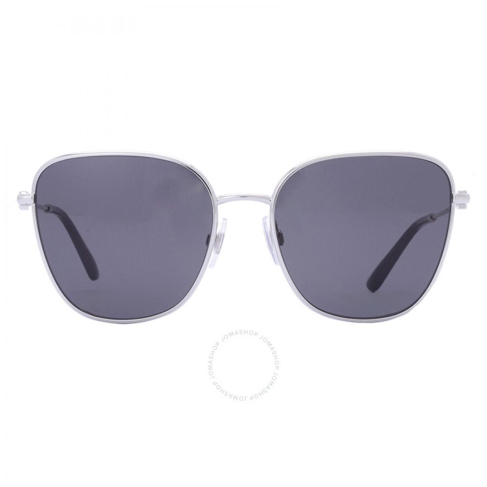 

Dolce Gabbana Dark Grey Butterfly Ladies Sunglasses DG2293 05 87 56