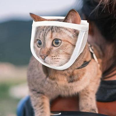 Kedi – Kedi bakım ürünleri