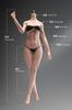 [TOYBARJAPAN] 16 Scale Action Figure YIMEI YM508 Mid-Bust Platinum Silicone Seamless Female Body with Sculpted Menstrual Regions (Head, Clothes, and