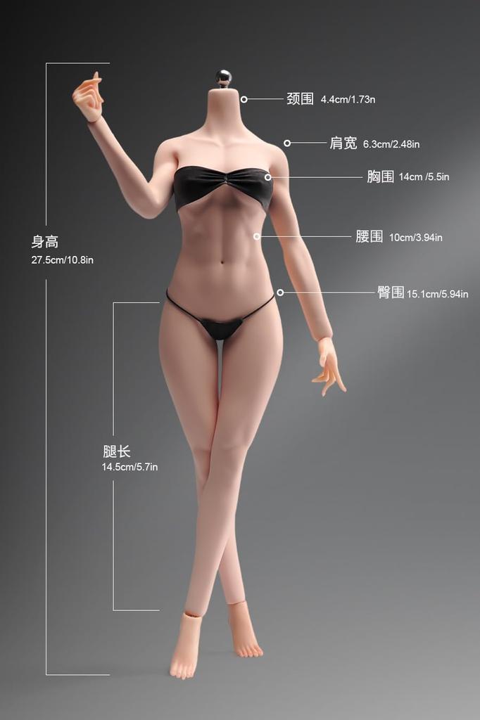 [TOYBARJAPAN] 16 Scale Action Figure YIMEI YM508 Mid-Bust Platinum Silicone Seamless Female Body with Sculpted Menstrual Regions (Head, Clothes, and