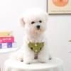 Pet Clothes Autumn and Winter New Small Dog Puppies Happy Dog Cat Warm and Comfortable Green Field Rose Lace Skirt
