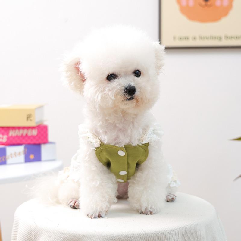 Pet Clothes Autumn and Winter New Small Dog Puppies Happy Dog Cat Warm and Comfortable Green Field Rose Lace Skirt