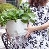 Self-absorbing Water Self-absorbing Water Flower Pot Lazy Flower Pot  Living Room
