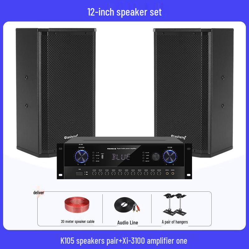 QIASHENG Professional Conference Room & Stage Audio System CN plug (adapter included)