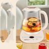 Shengbei Multifunction Tea & Stewing Kettle