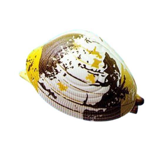 5Pcs Water Spray Toy Strong Clam-Shaped Water Play Toy Mist Sprayer Novelty Summer Beach Party Accessory