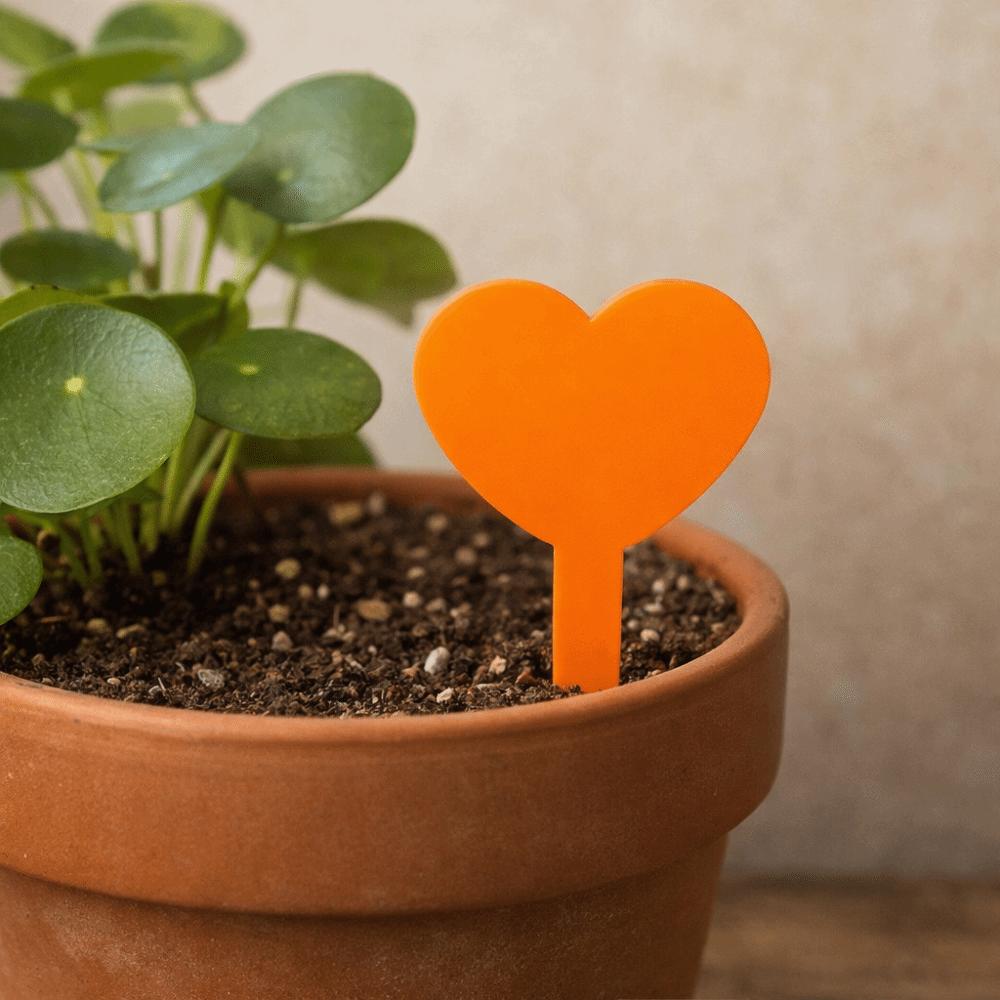 100PCS Reusable Plant Labels Tags Heart Shaped Succulent Signage Garden Flower Pots