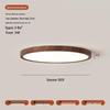Modern Bedroom Ceiling Light