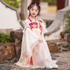 Hanfu Girl Chinese Style Cloth Summer Dress Antique Tang Suit Super Fairy Costume Dress Little Girl Mermaid Princess Skirt Undergarment