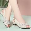 Women's Sandals Summer Mid-heel Mesh Shoes Female Large Size Formal Breathable Sandals Women