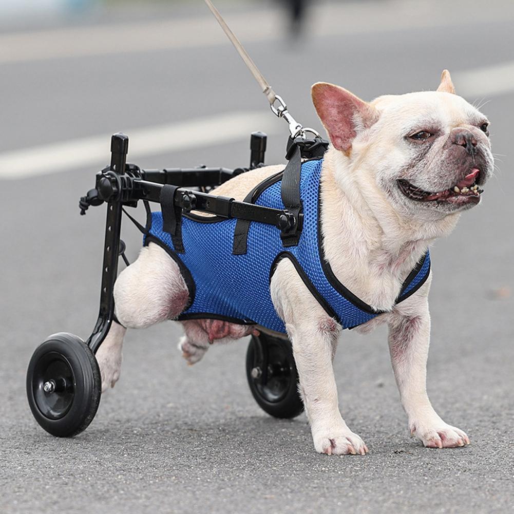 Carrello Sedia a Rotelle per Animali Domestici Ausili Mobilità Regolabili per Animali Domestici con Ruote Gatto Cane Disabile Riabilitazione Camminare