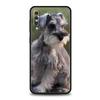 Cartoon Schnauzer Dog Phone Case For Samsung A54 A52 A24 A14 A50 A70 A10 A40 A20S A20E A06 A12 A22 A34 A42 A32 5G A04s A16 Cover