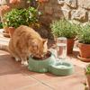 2 In 1 Cat Double  Bowl Large Capacity Cat Water Dispenser Cat Feeder Bowl  Daily Pet Feeding