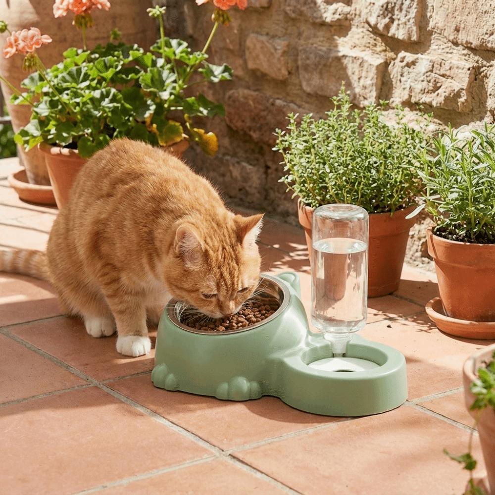 2 In 1 Cat Double Bowl Large Capacity Cat Water Dispenser Cat Feeder Bowl Daily Pet Feeding