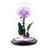 Eternal Flower Glass Cover Little Prince Rose Valentine's Day Gift Premium Finished Gift Box