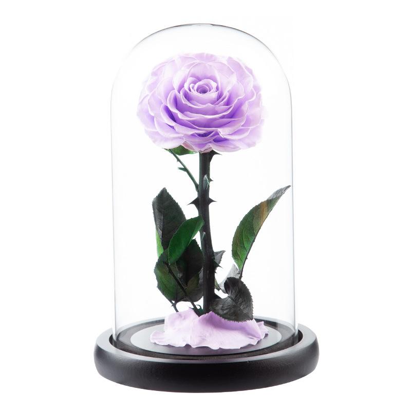 Eternal Flower Glass Cover Little Prince Rose Valentine's Day Gift Premium Finished Gift Box