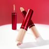 TIRTIR Glide & Hide Blurring Concealer 8g