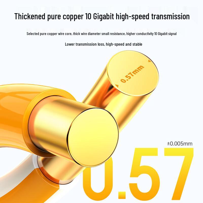 

Choseal CAT6A Unshielded 10 Gigabit Ethernet Cable 100m