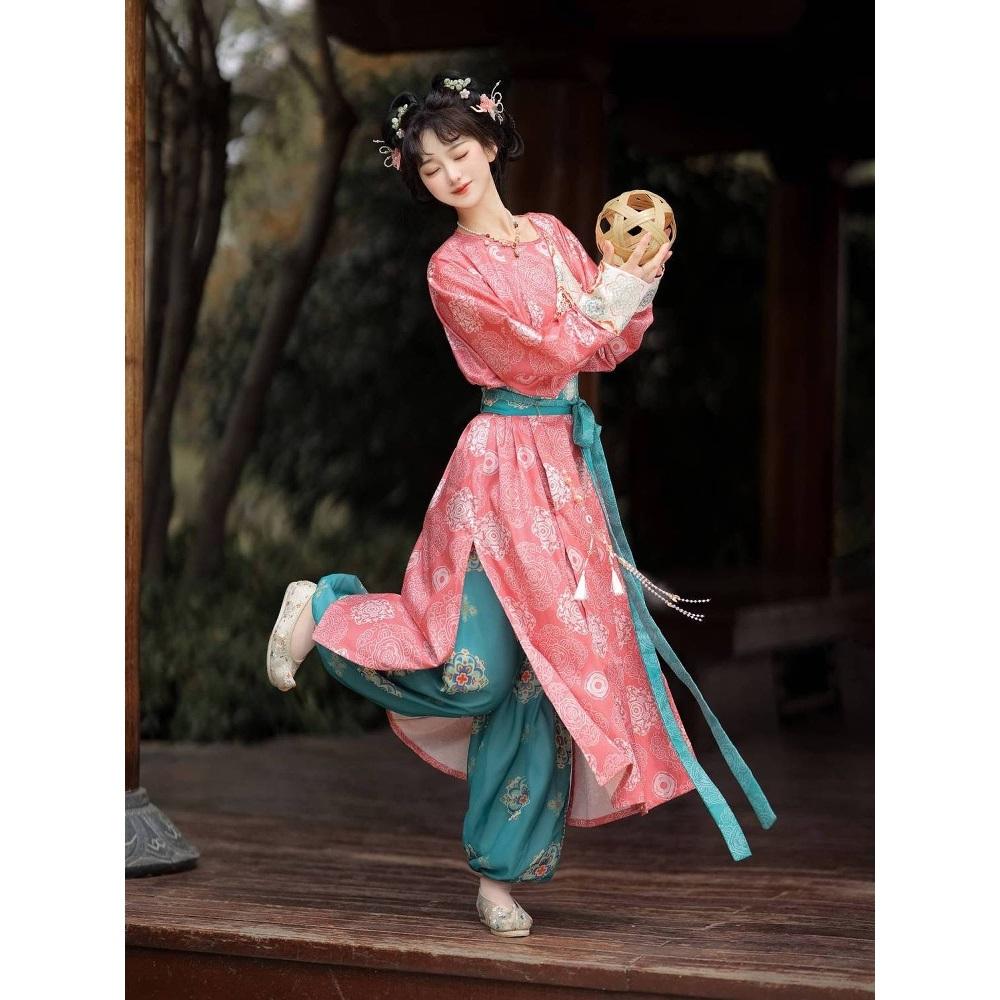 Chinese Tang Dynasty Style Hanfu Round Neck Robe Embroidered Bloomers Daily Suit