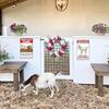 Animal Shelter Vintage Metal Sign Pet Rescue Wall Decor 20x30cm