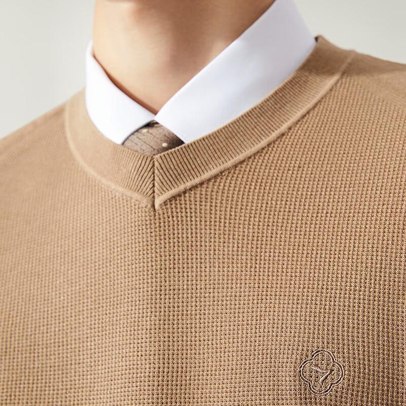 Septwolves Men's Cashmere Blend V-Neck Sweater