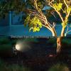 Cross 20W Waterproof LED Outdoor Landscape Spotlight with Plug for Garden, Courtyard, Lawn, and Tree Lighting