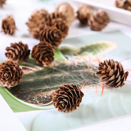 20 pezzi attraenti pigne finte ampiamente utilizzate per decorazioni naturali fai da te, pigne finte per festival